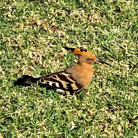 Appartement Casa Do Alto *