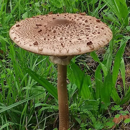 Appartement Casa Do Alto