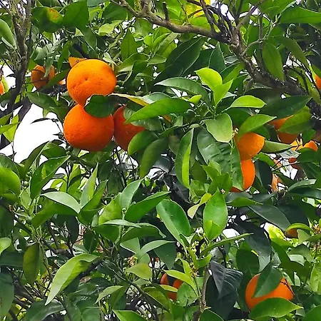 Casa Do Alto Apartman