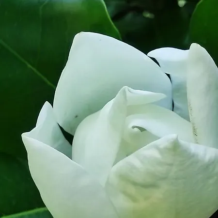 Casa Do Alto * Adaufe