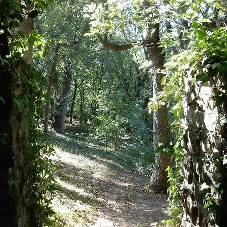 Appartement Casa Do Alto Adaufe