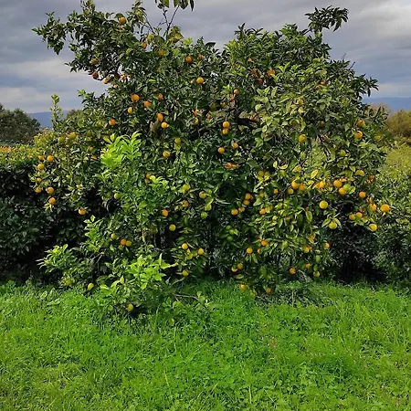 Casa Do Alto Apartment *