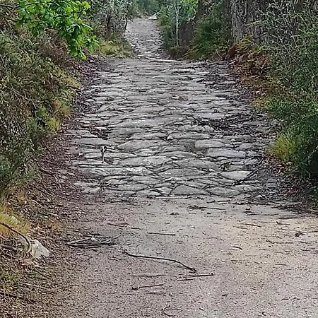 Casa Do Alto * Adaufe