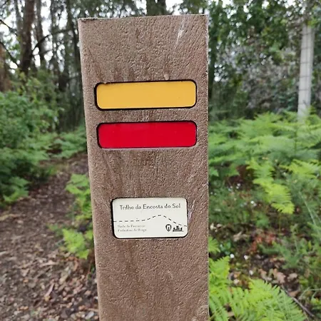 Casa Do Alto 아파트 Adaufe