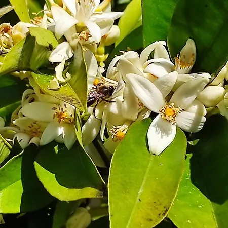 Appartement Casa Do Alto