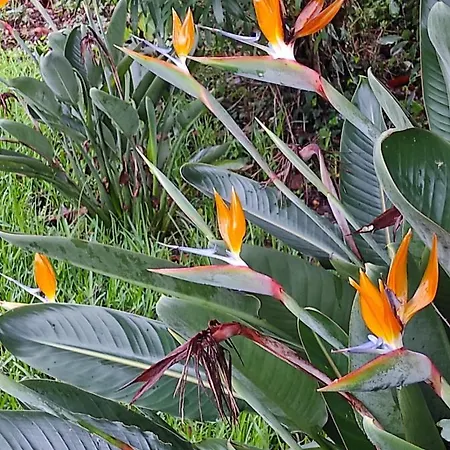 Casa Do Alto Apartman Adaufe