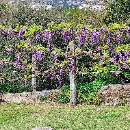 Casa Do Alto Appartement