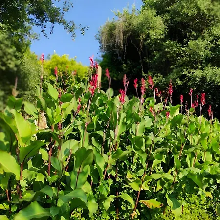 Casa Do Alto Apartman Adaufe