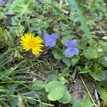 Appartement Casa Do Alto