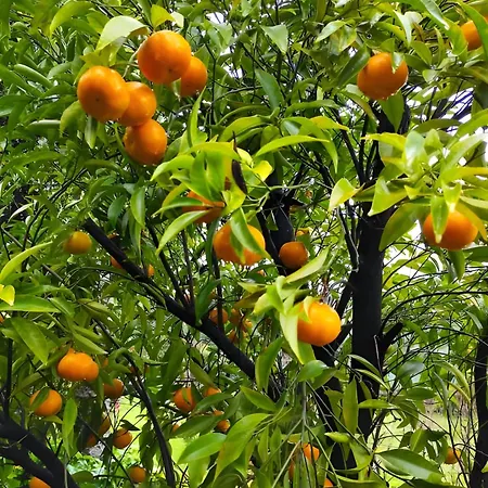 Appartement Casa Do Alto Adaufe