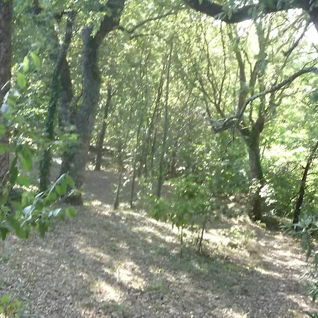 Casa Do Alto Apartment Adaufe