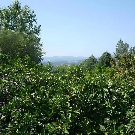 Casa Do Alto * Adaufe