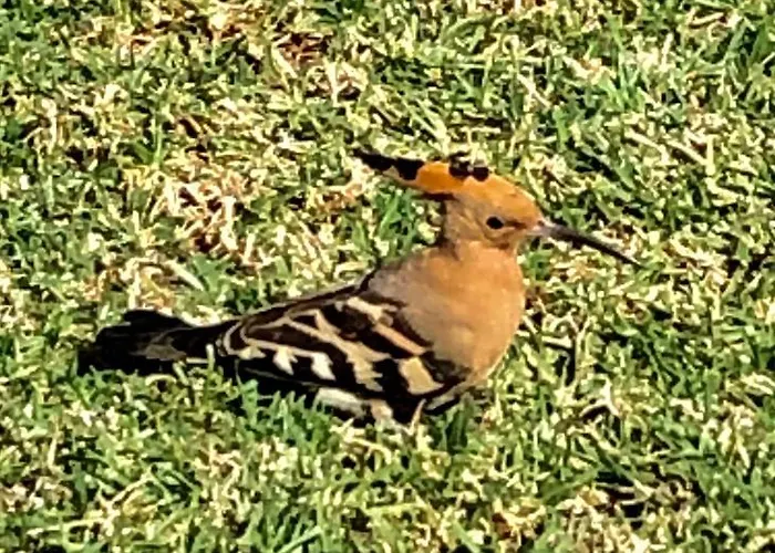 Lägenhet Casa Do Alto *