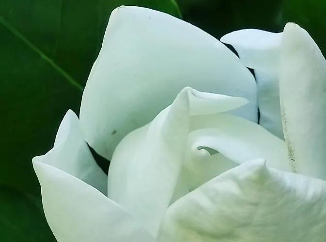 Casa Do Alto * Adaufe