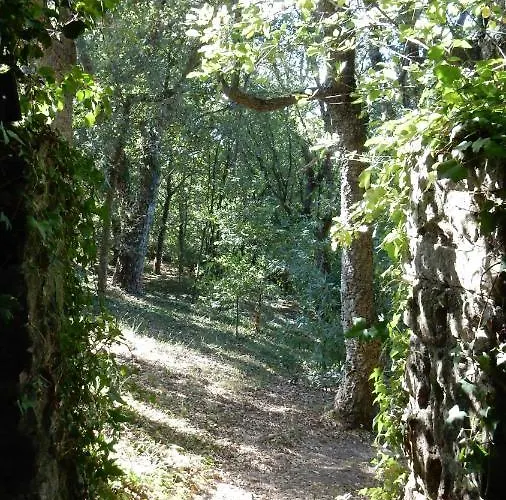 Lägenhet Casa Do Alto Adaufe