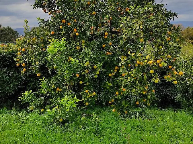 Casa Do Alto Lägenhet *