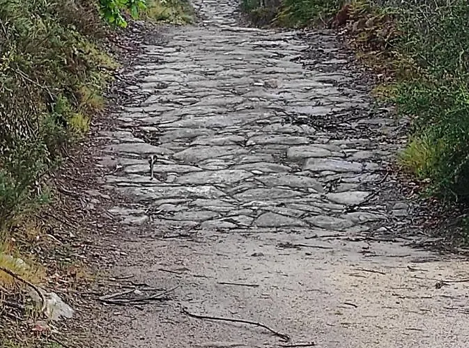 Casa Do Alto * Adaufe