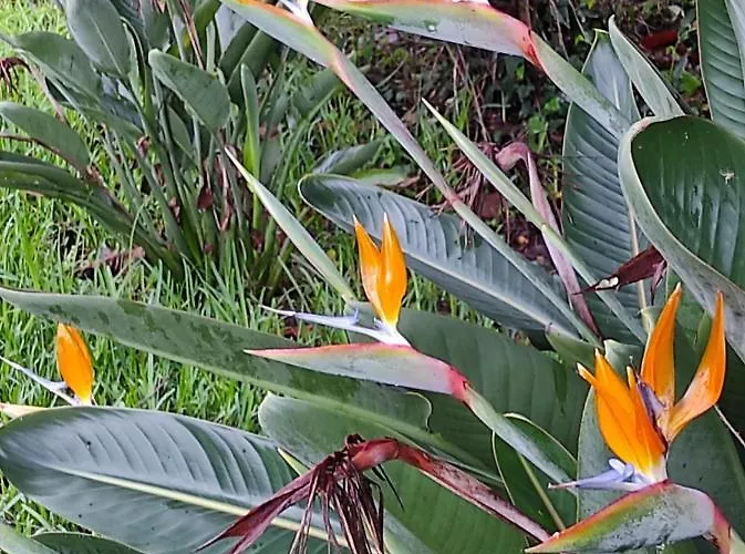 Casa Do Alto Lejlighed Adaufe