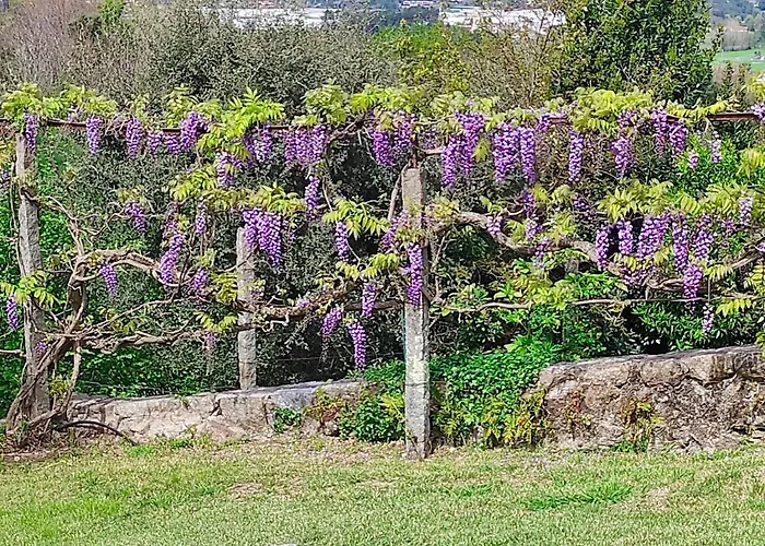 Casa Do Alto Apartament