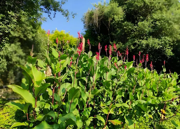 Casa Do Alto Apartament Adaufe