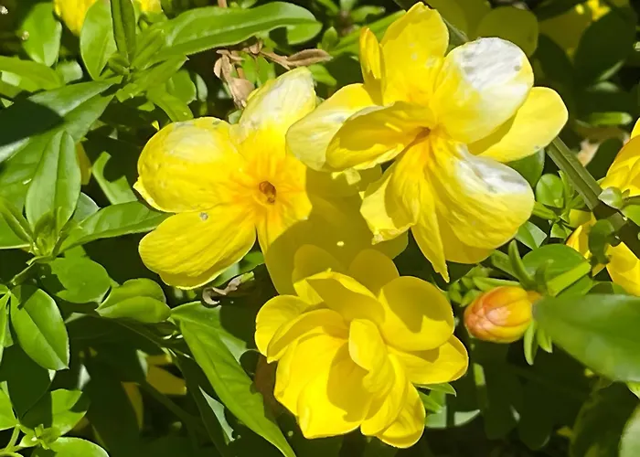 Casa Do Alto Lägenhet *