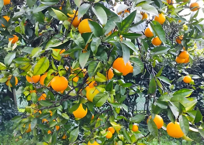 Casa Do Alto Lägenhet