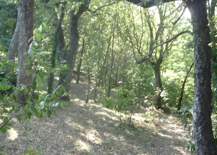 Casa Do Alto Apartament Adaufe