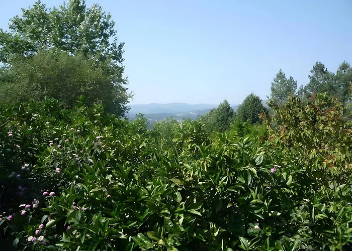 Casa Do Alto * Adaufe